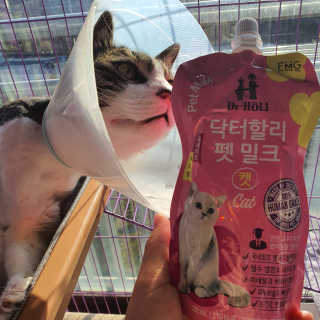 닥터할리펫밀크 8종 — 4점을 준 리뷰어가 2020년 1월 올린 사용 사진