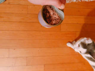 yyyy님이 올린 리뷰 사진 2