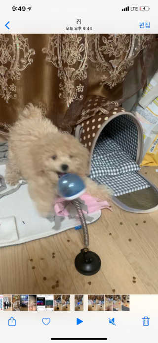 leah님이 올린 리뷰 사진 1