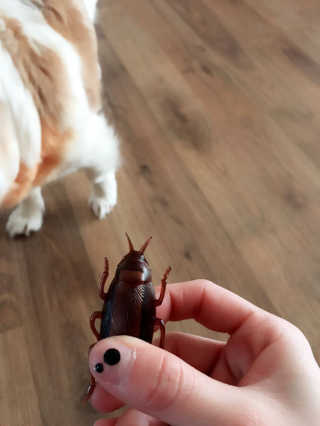 수정님이 올린 리뷰 사진 3