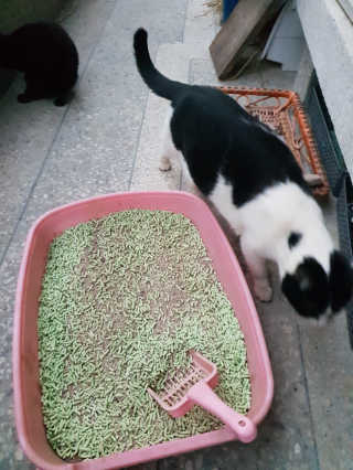 흐큑흐큑님이 올린 리뷰 사진 1