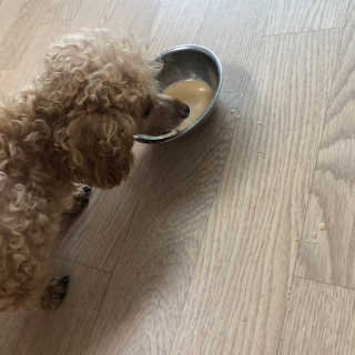 또르비님이 올린 리뷰 사진 3