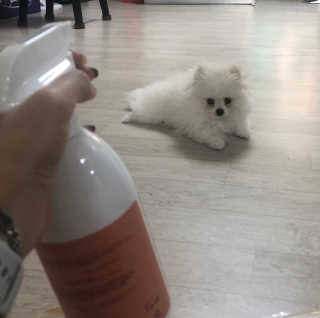 임수빈님이 올린 리뷰 사진 4