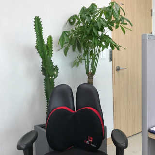 뿌님이 올린 리뷰 사진 1