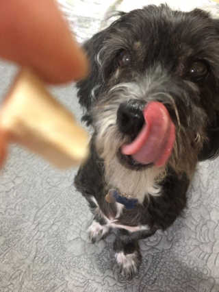 이소은님이 올린 리뷰 사진 2