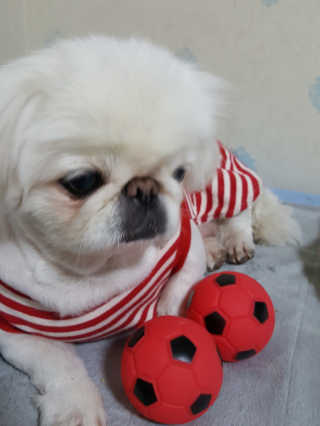 조지닭님이 올린 리뷰 사진 3