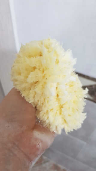 룰라러브 모공관리 끝 지중해산 천연해면 바디스펀지 — 5점을 준 리뷰어가 2018년 4월 올린 사용 사진