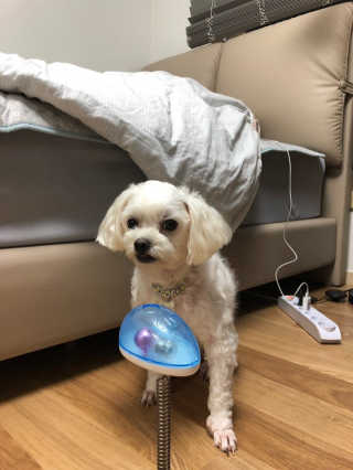 도미노님이 올린 리뷰 사진 3