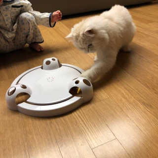 한글라쓰님이 올린 리뷰 사진 3