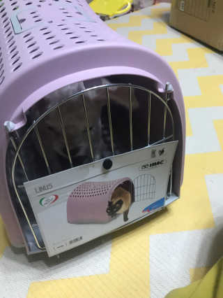 농이님이 올린 리뷰 사진 4