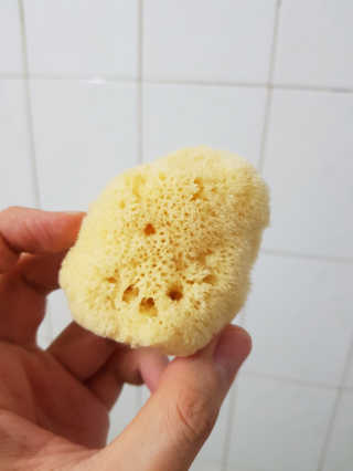제이코님이 올린 리뷰 사진 1