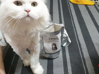 Woo7C님이 올린 리뷰 사진 1