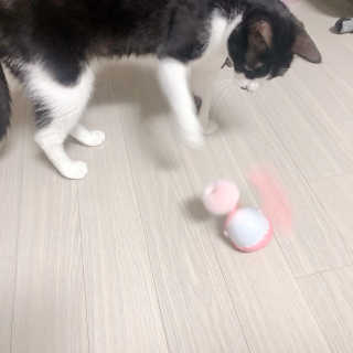 밍미이님이 올린 리뷰 사진 1