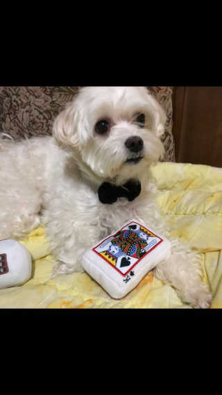 maybeee님이 올린 리뷰 사진 3