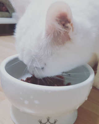 루팡네님이 올린 리뷰 사진 2