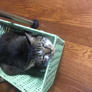 다니당근님이 올린 리뷰 사진 3
