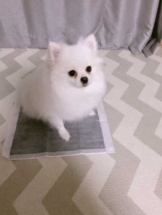 라움님이 올린 리뷰 사진 3