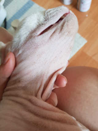 마뇨님이 올린 리뷰 사진 2