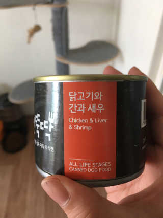 펫토리아 한캔뚝딱 best 강아지캔,고양이주식캔 — 4점을 준 리뷰어가 2019년 6월 올린 사용 사진