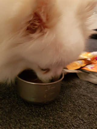신이신이님이 올린 리뷰 사진 3