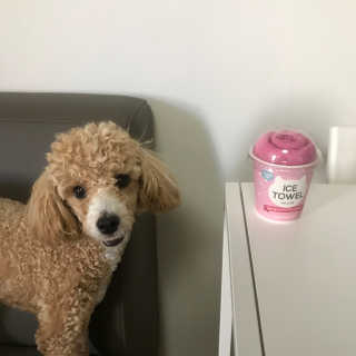 미꾸라지님이 올린 리뷰 사진 1