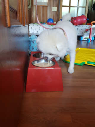 강현정님이 올린 리뷰 사진 1