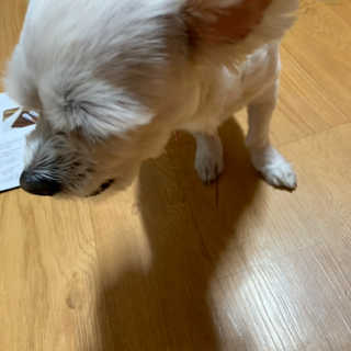 연구yeongu님이 올린 리뷰 사진 4
