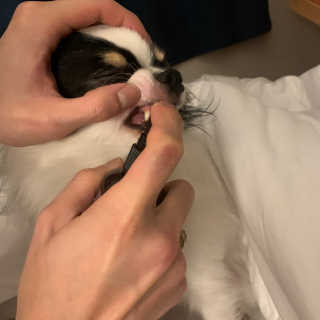 하림님이 올린 리뷰 사진 2