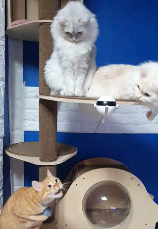 fively님이 올린 리뷰 사진 3