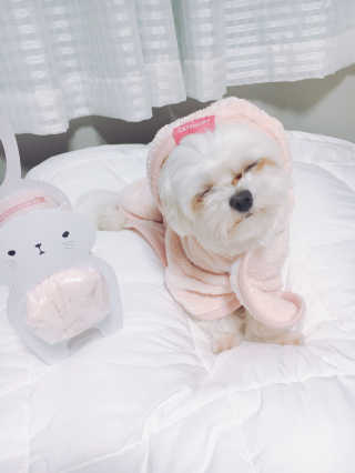 콩순이엄마님이 올린 리뷰 사진 1