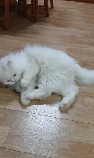 영니님이 올린 리뷰 사진 3