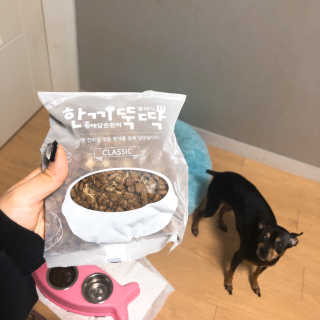 [펫토리아] 맛도 영양도 BEST 한끼뚝딱 강아지 사료 — 5점을 준 리뷰어가 2018년 12월 올린 사용 사진