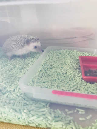 raonhae님이 올린 리뷰 사진 2