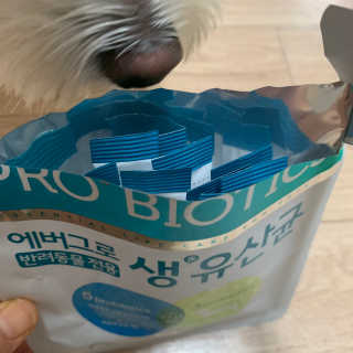 규빈띵쏘님이 올린 리뷰 사진 4