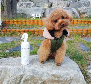 사랑해안시영님이 올린 리뷰 사진 1