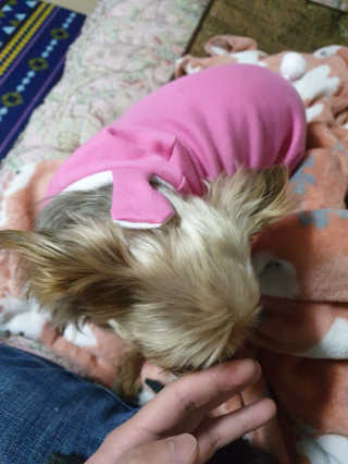 오이잉님이 올린 리뷰 사진 2