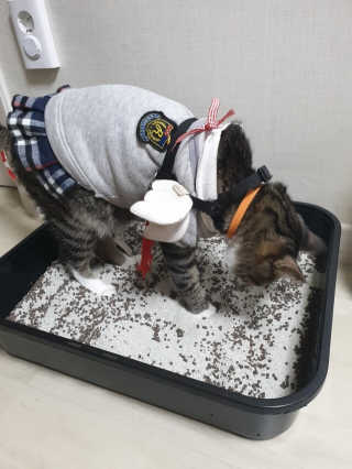 박세찬님이 올린 리뷰 사진 1