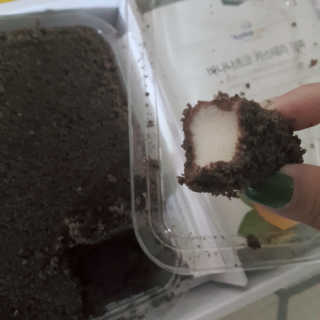 으싯님이 올린 리뷰 사진 1