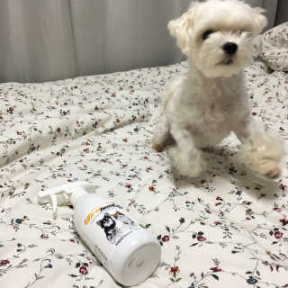 JungminCho님이 올린 리뷰 사진 4