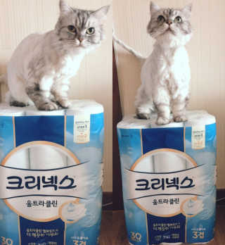 으냥님이 올린 리뷰 사진 1