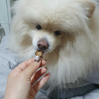 치리짱님이 올린 리뷰 사진 3