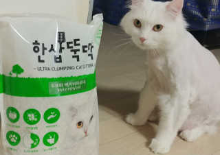 [펫토리아] BEST 고양이두부모래 6L 한삽뚝딱 — 3점을 준 리뷰어가 2019년 2월 올린 사용 사진