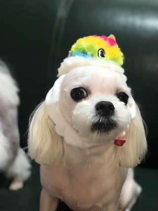 Ruru1412님이 올린 리뷰 사진 1