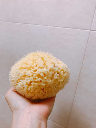 shion님이 올린 리뷰 사진 2