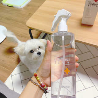 [펫토리아]살균뚝딱 강아지 고양이 살균소독제 탈취제 — 5점을 준 리뷰어가 2019년 10월 올린 사용 사진