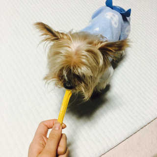 안다님이 올린 리뷰 사진 2