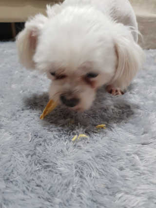 욤이잉님이 올린 리뷰 사진 2