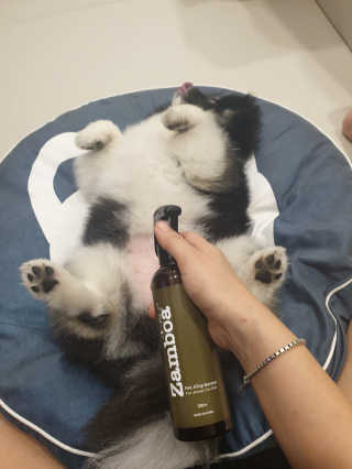 몽실맘님이 올린 리뷰 사진 2