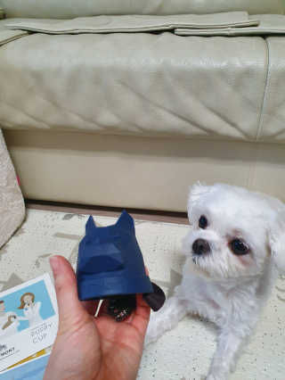 Lauren님이 올린 리뷰 사진 1