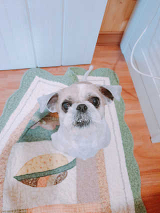 손채현님이 올린 리뷰 사진 2